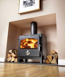 Newton stoves by Trianco | The Stove Fitter's Manual